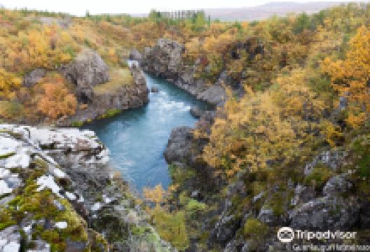 Selskogur景点图片