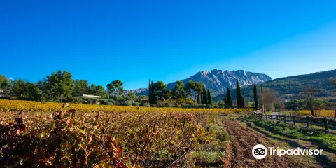 Château Henri Bonnaud