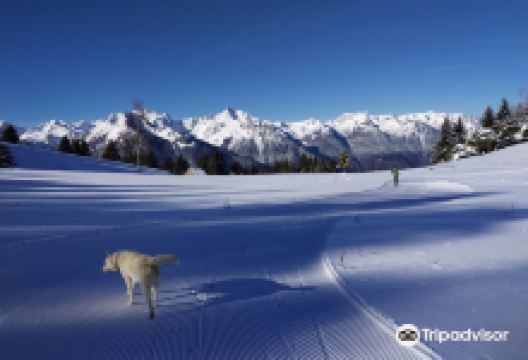 Zone Nordique du Grand Coin景点图片