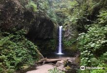 Wiesendanger Falls景点图片