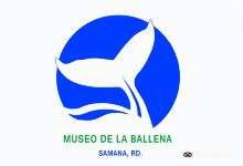 Museo de la Ballena景点图片