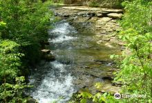 Saunders Springs Nature Preserve景点图片