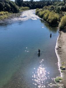 Tongariro River Trail-图朗伊