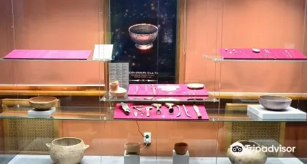 Museum of the History of Alma-Ata