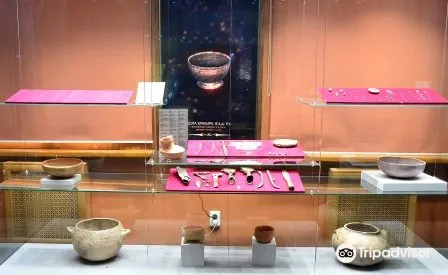 Museum of the History of Alma-Ata