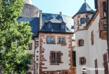 Schlossmuseum - Schloss Budingen景点图片