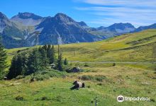 Arosa Barenland景点图片