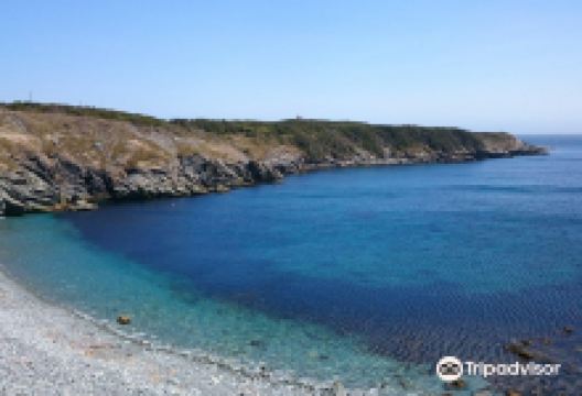 Irish Loop景点图片