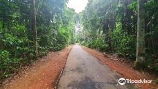 Parque Ambiental Chico Mendes-里奥布朗库