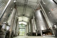 Domaine de Belle-Mare景点图片