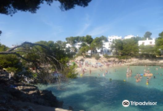 Plage Cala D'or景点图片