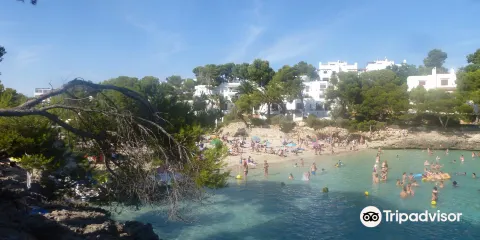 Plage Cala D'or