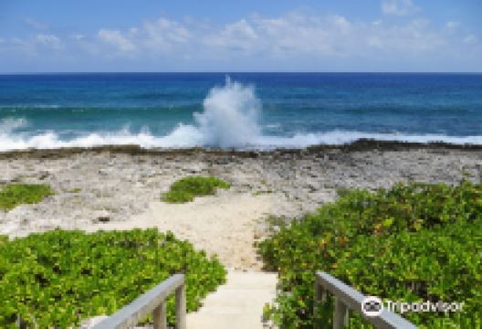 Blow Holes景点图片