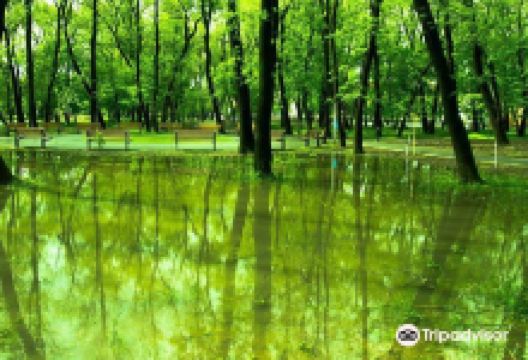 Crihala Natural Park景点图片