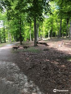 Dyrehaven Vejle-瓦埃勒