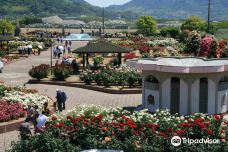 Yoshiumi Rose Park-今治市