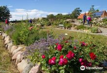 Vitsoehus Permaculture Garden景点图片