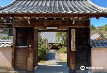 専養寺景点图片