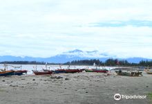 Tapak Paderi Beach景点图片