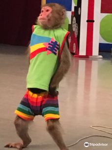 河口湖猴戏剧场-富士河口湖町