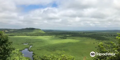 Kottaro Swamp Observatory