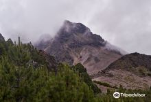 Parque Nacional Volcán Nevado de Colima景点图片