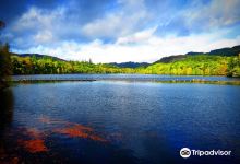 Loch Faskally景点图片