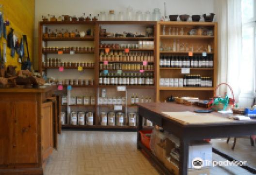 Museo Frantoio Panizzi景点图片