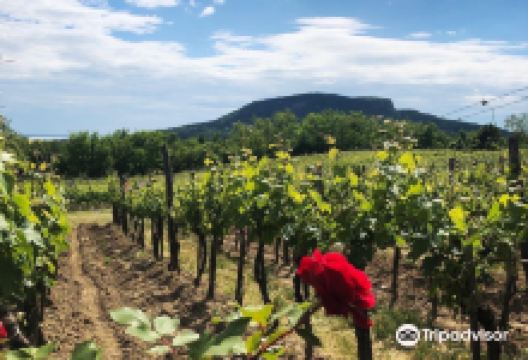 ValiBor-Vali Peter Boraszata景点图片