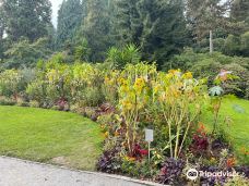 迈瑙岛-康斯坦茨