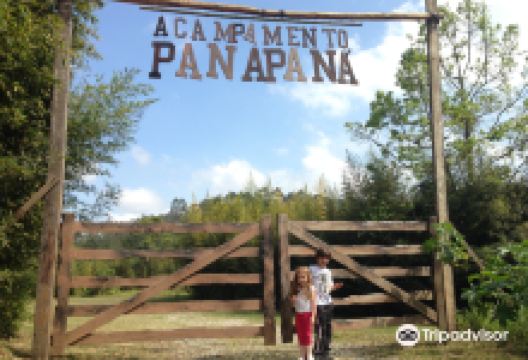 Municipal butterfly Osasco景点图片