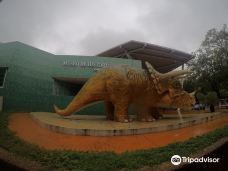 Museo de Historia Natural-比亚埃尔莫萨