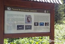 Brestovská Cave景点图片