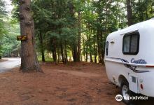Northampton Beach Campsite景点图片