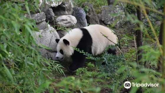 陝西省珍稀野生動物搶救飼養研究中心