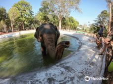 Phuket Nature Elephant Reserve-普吉岛