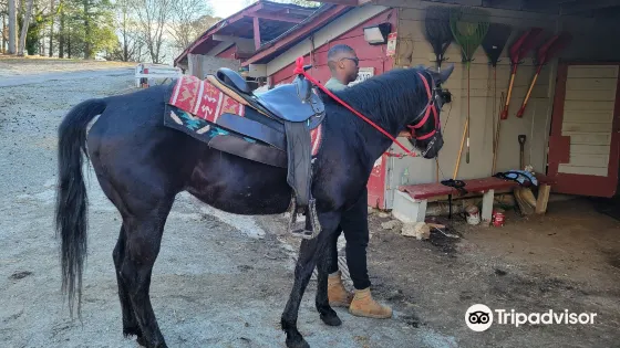 JDs Horse Ranch