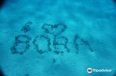Bora Bora Lagoon Onoku Services-波拉波拉岛