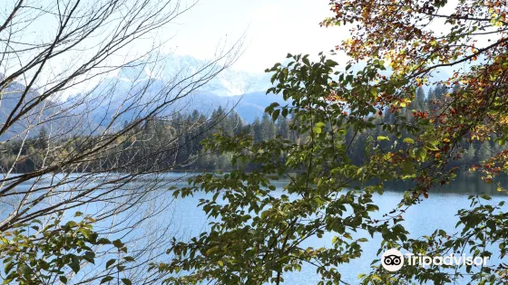 Barmsee
