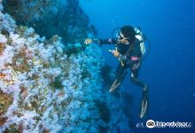 Taveuni Ocean Sports购物图片