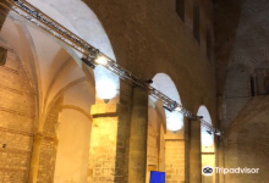 Saint Pierre aux Nonnains Basilica景点图片