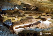 Vjetrenica Cave景点图片