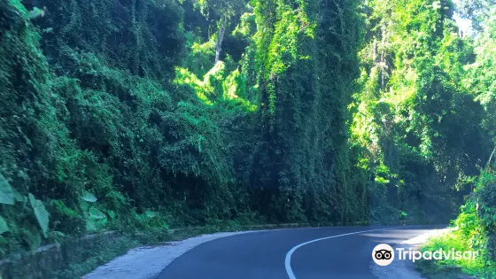 Puncak Pusuk Pass
