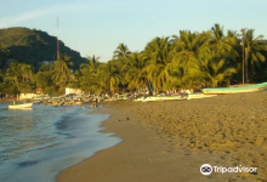 Playa Principal (Playa del Puerto)景点图片