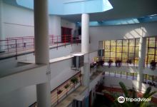 Muzeul De Ştiinţe Naturale景点图片