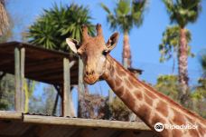 Selwo Aventura-埃斯特波纳