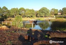 Piney Lakes Reserve景点图片