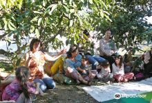 Entre Cuentos y Frutales景点图片