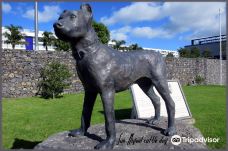 Sao Miguel Cattle Dog Statue-坎普自田镇