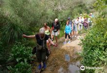 Torrent De Santa Ponca Trail景点图片